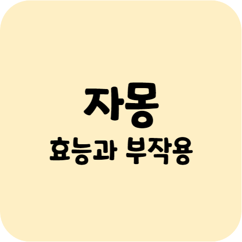 자몽의 효능과 부작용