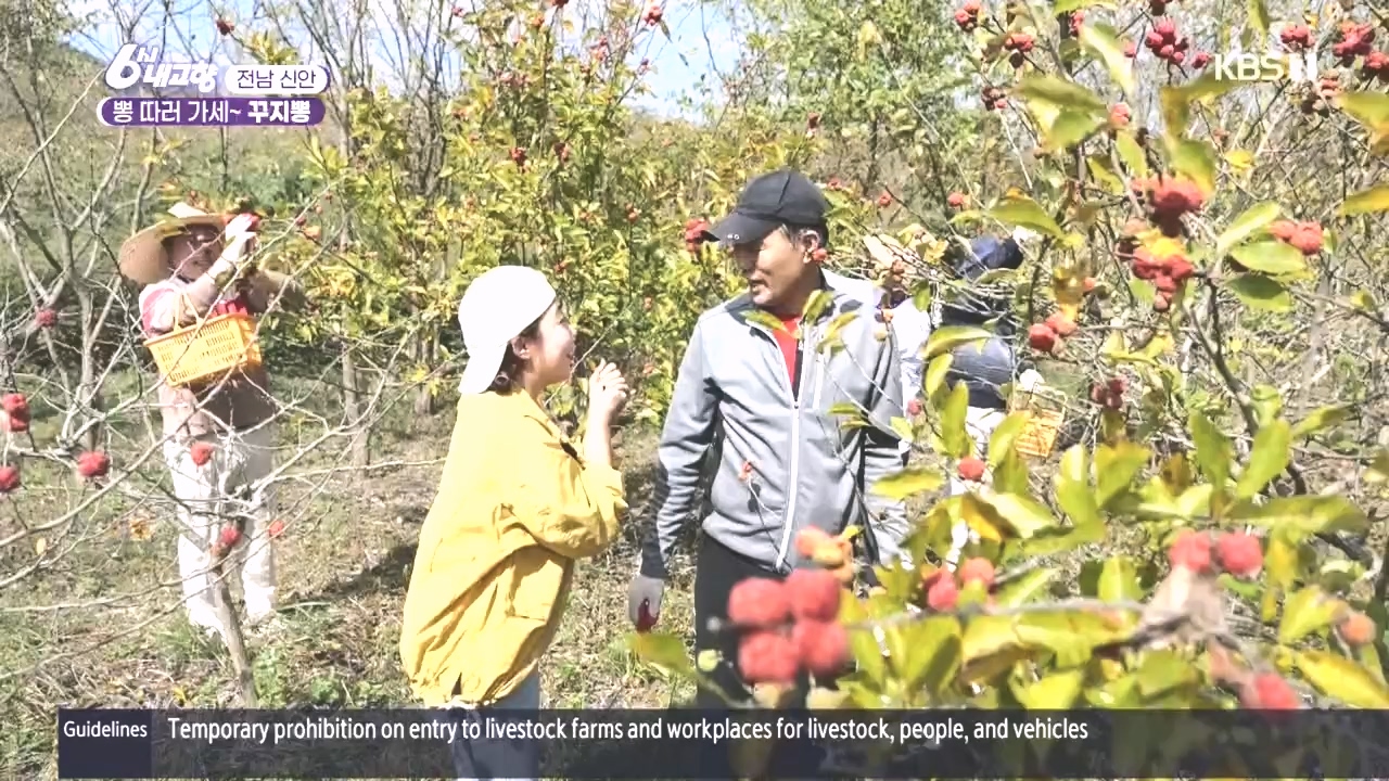 6시 내고향.E7897.231025p.H264-F1RST.mp4_20231025_202900.515.jpg