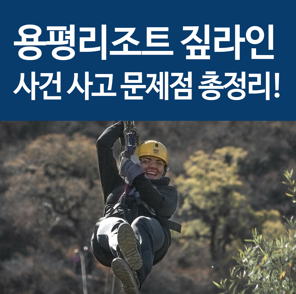 용평리조트 짚트랙 사고, 평창 짚라인 사건사고 총정리! 짚라인 위험성!