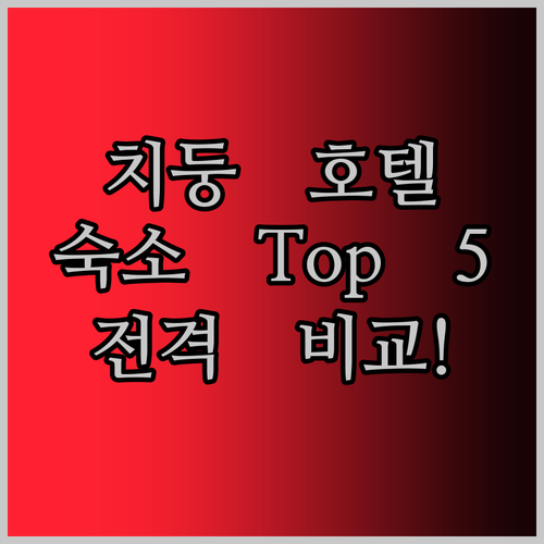 치둥 호텔 어디로? 가성비 끝판왕 숙