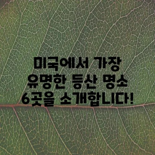 미국에서 가장 유명한 등산 명소 6곳을 소개합니다!
