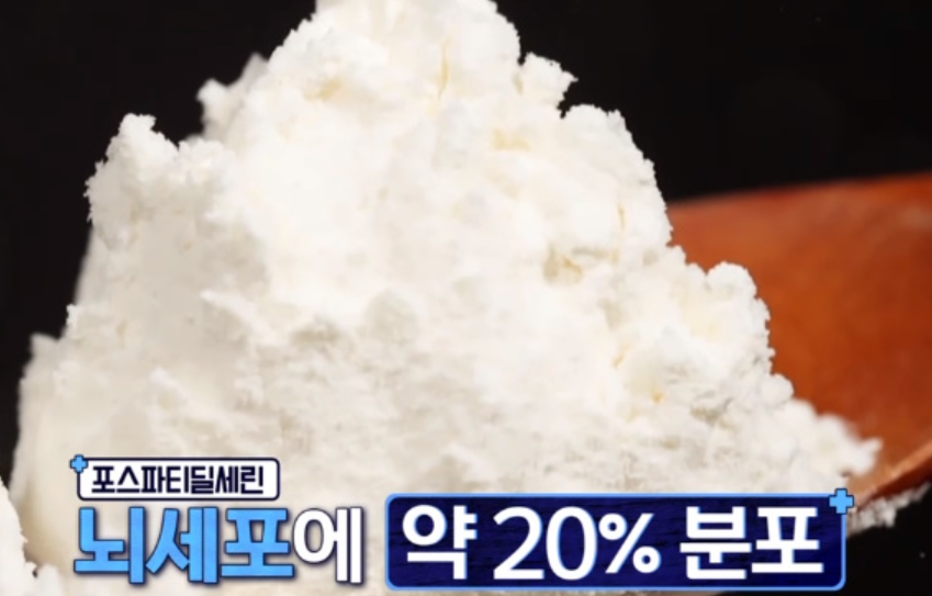  포스파티딜세린 두뇌영양제 효능과 부작용 포스파티딜세린 분말섭취방법 치매예방약 영양제기억력뇌기능향상식품 추천 포스파티딜세린징코 고르는기준 두뇌에좋은식품