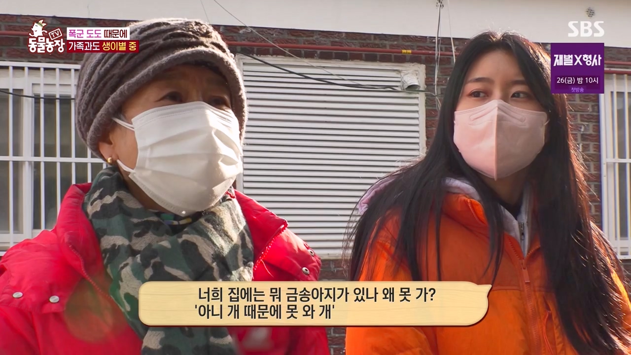 TV 동물농장.E1155.240122p-NEXT.mp4_20240121_145942.525.jpg