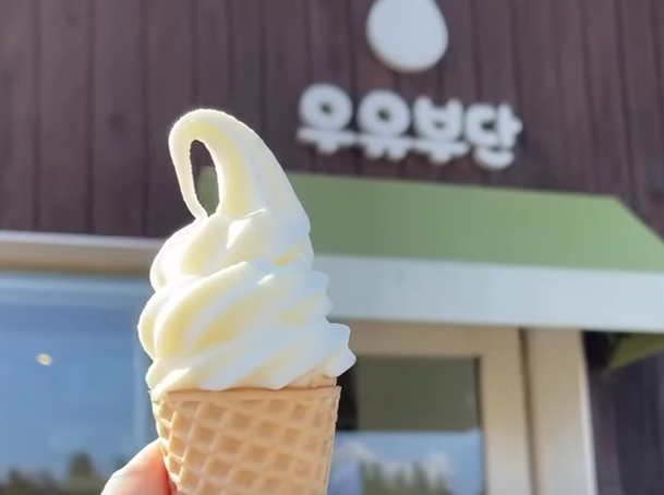 유튜브 유튜버 햇도시락 제주도 2박3일 맛집 총정리 먹방로드 입짦은햇님 핫플 제주 신상맛집 제주데이트