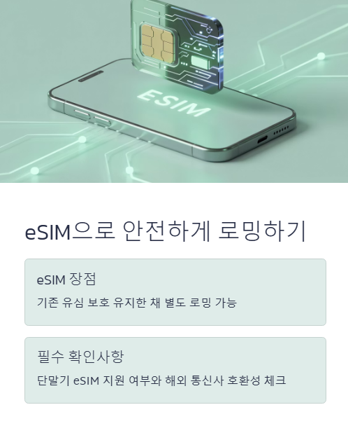 이심으로 안전하게 로밍하기