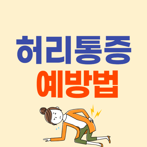  허리 통증 원인 예방법