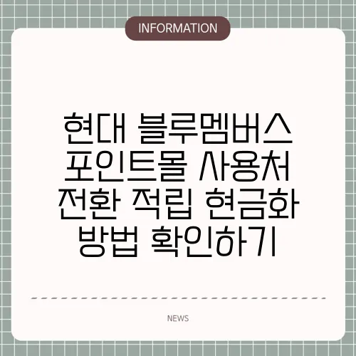 현대 블루멤버스 포인트몰 사용처 전환 적립 현금화 방법 확인하기