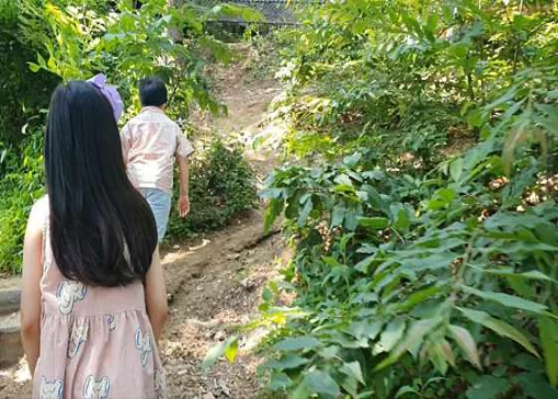 톰아저씨트리하우스