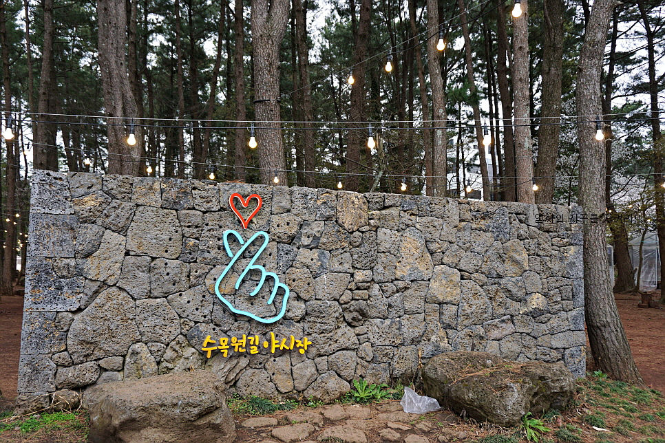 저녁에 가볼만한곳 야간 명소 제주 수목원길 야시장 제주도 7