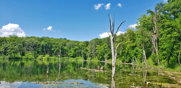 Cataract Lake