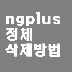  ngplus 정체와 삭제방법
