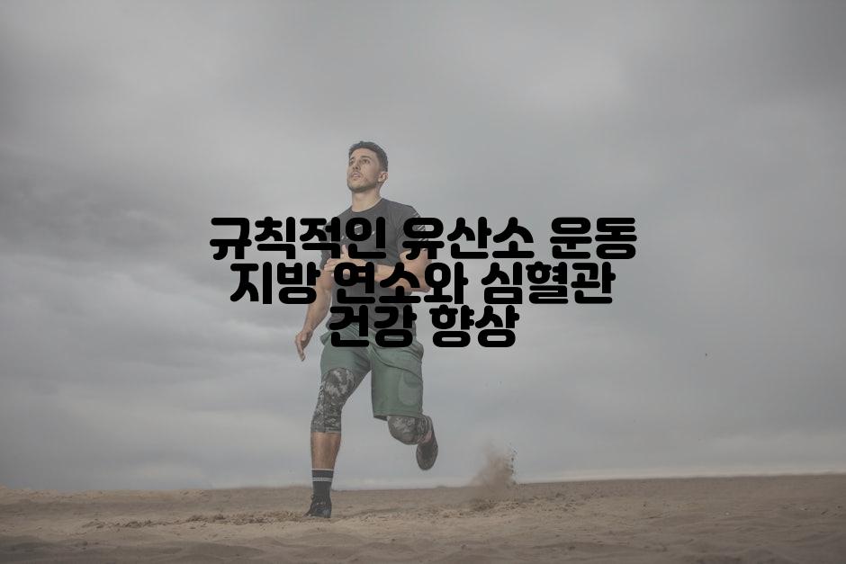 규칙적인 유산소 운동 지방 연소와 심혈관 건강 향상