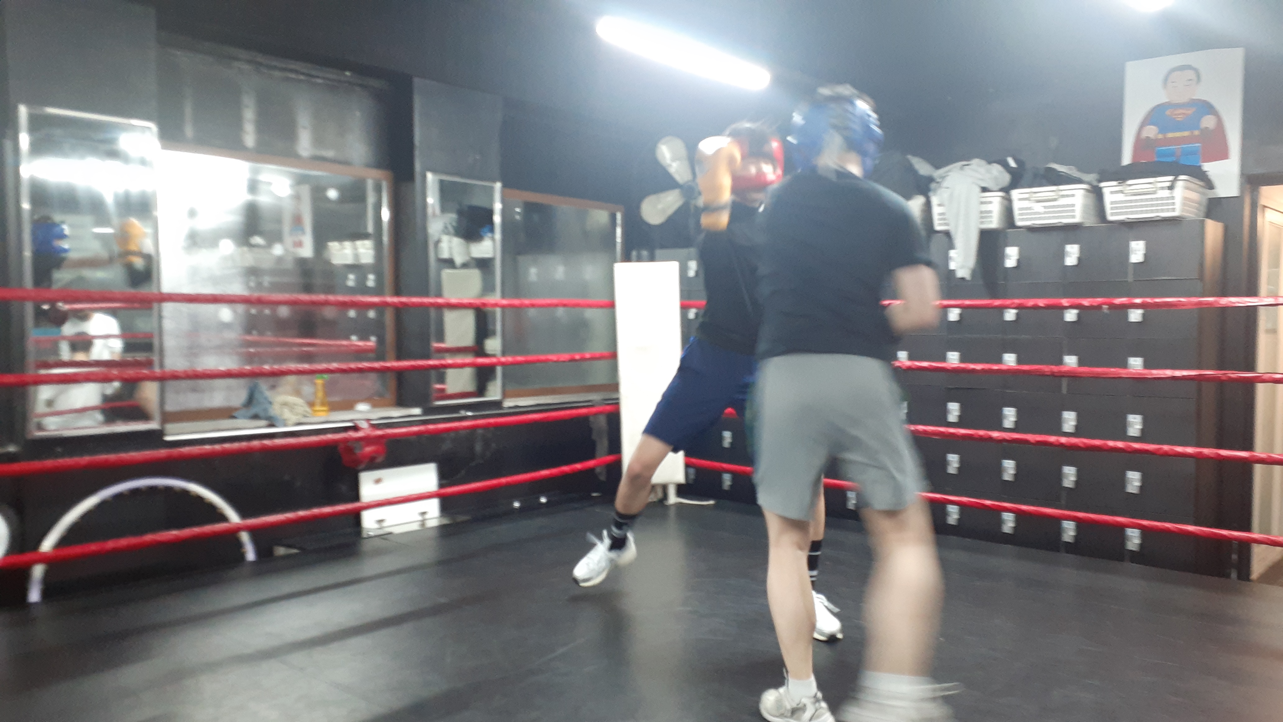 27. 3. 23. 양천구 복싱 대한복싱체육관 신정동 복싱 목동 복싱 신월동 복싱 경찰 무도 자격증 57