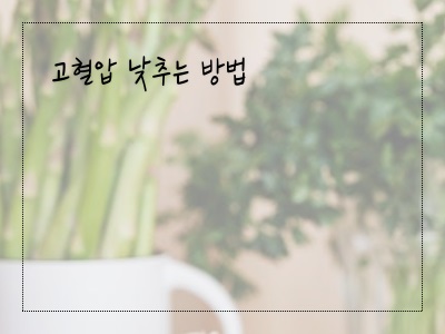 건강
