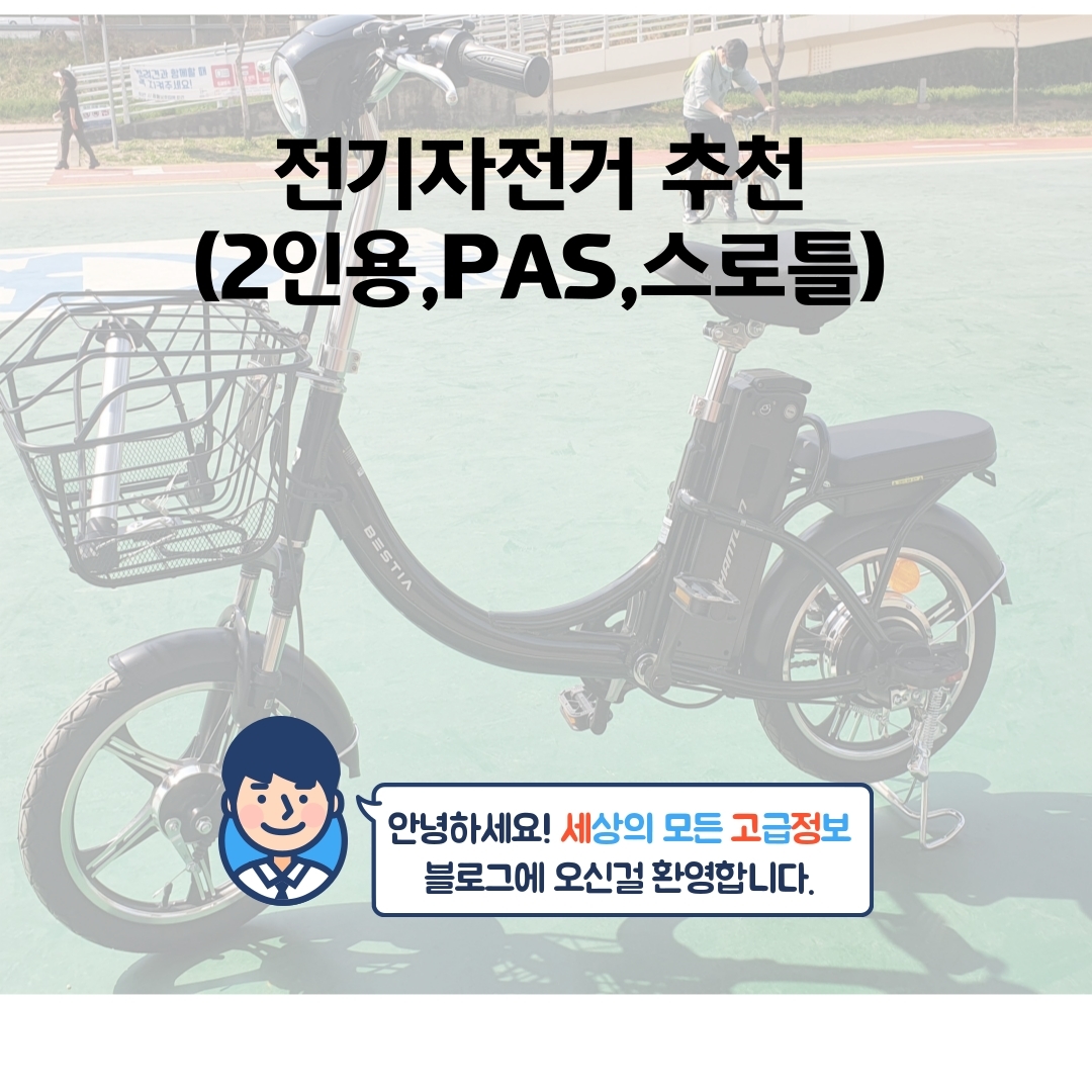  전기자전거 추천(2인용, PAS, 스로틀, AS), 배민 전기자전거,짐받이