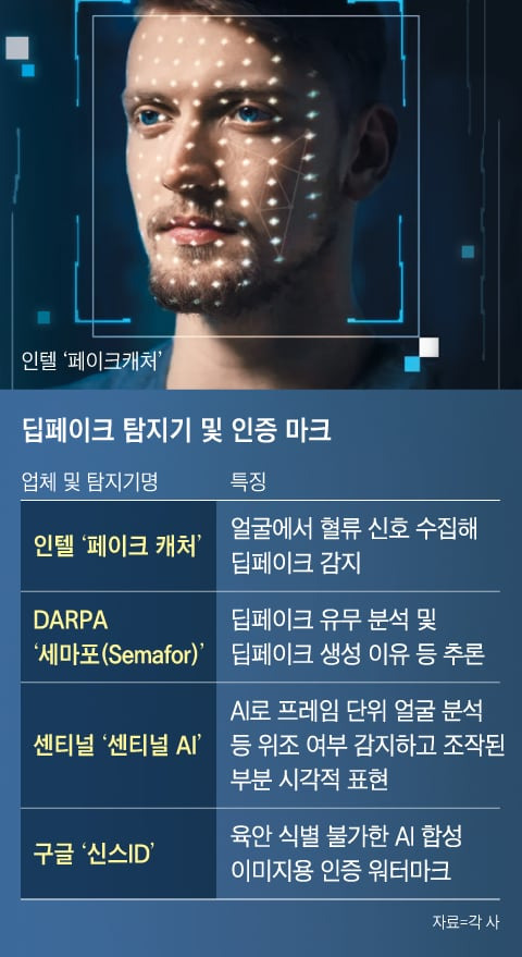 딥페이크 방지 기술