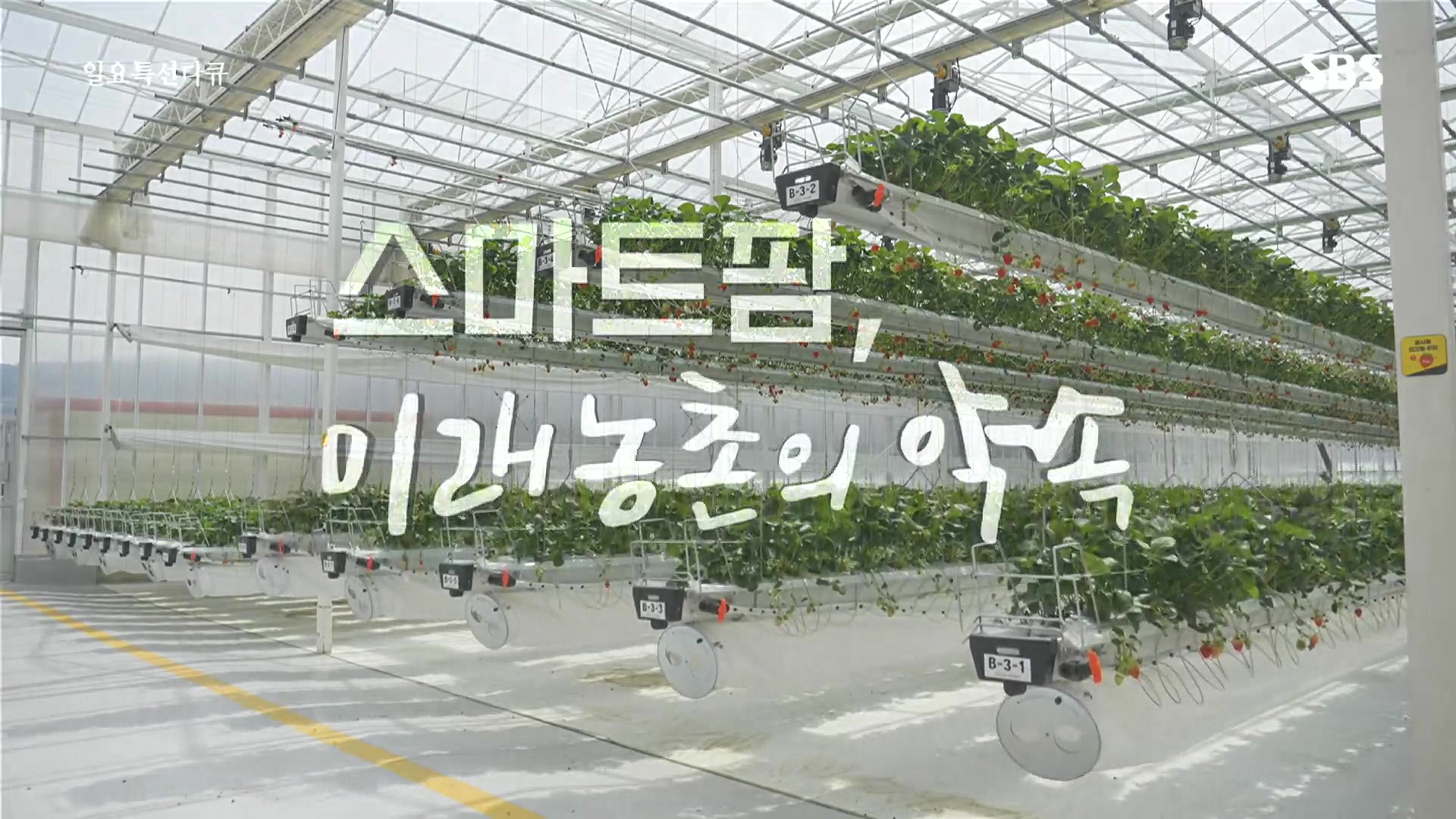 일요 특선 다큐멘터리.E348.240804p.H264-F1RST.mp4_20240805_195244.693.jpg