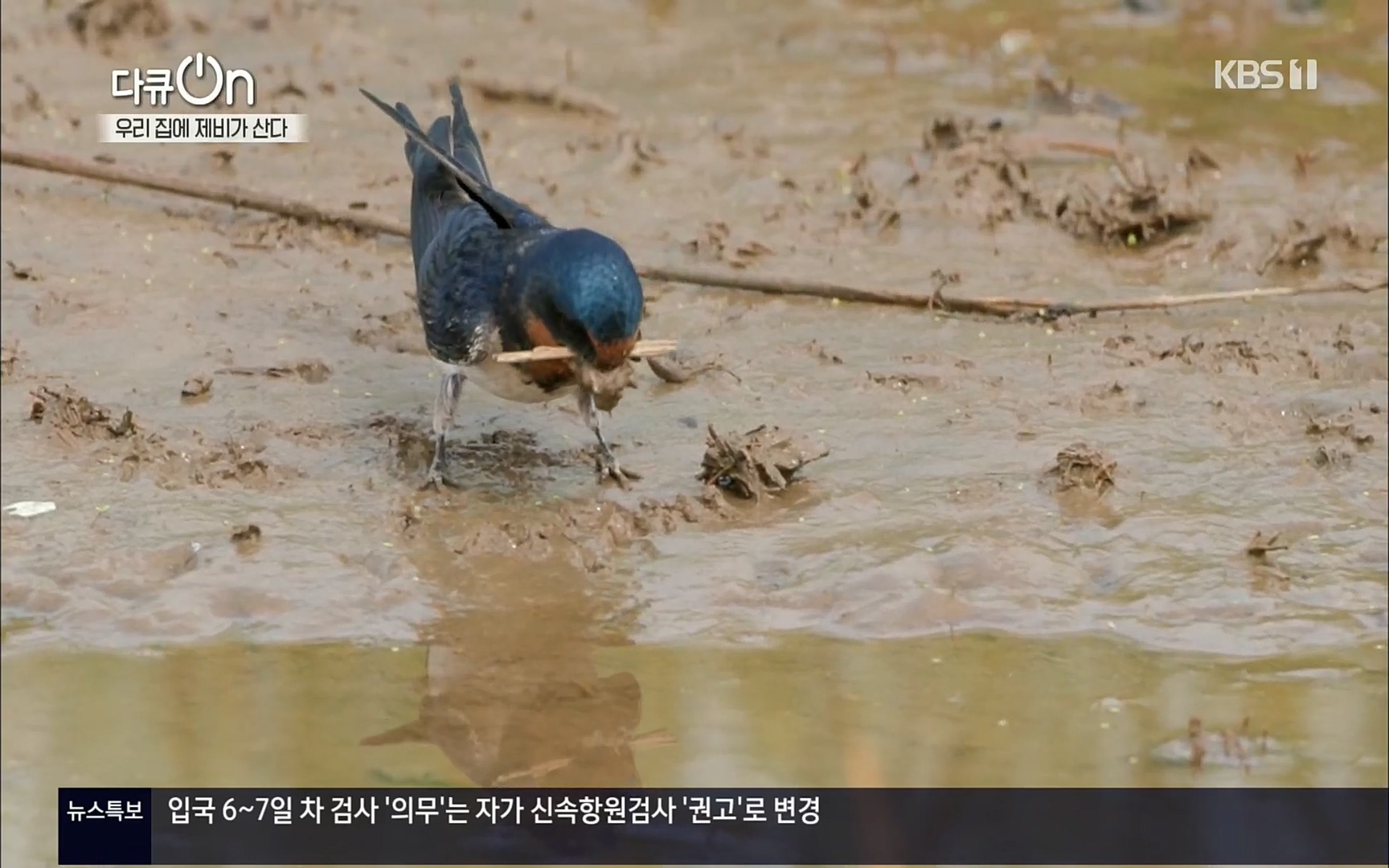 다큐 On.E143.220610p.H264-F1RST.mp4_20220613_200937.084.jpg