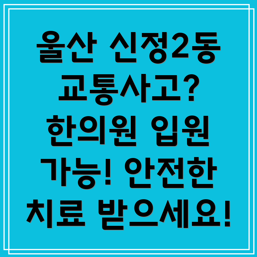 울산 남구 신정2동 교통사고 한의원