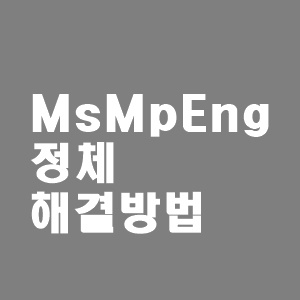  MsMpEng.exe  정체와 해결 방법