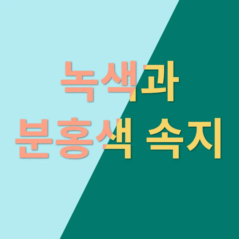 스타벅스 다이어리_2