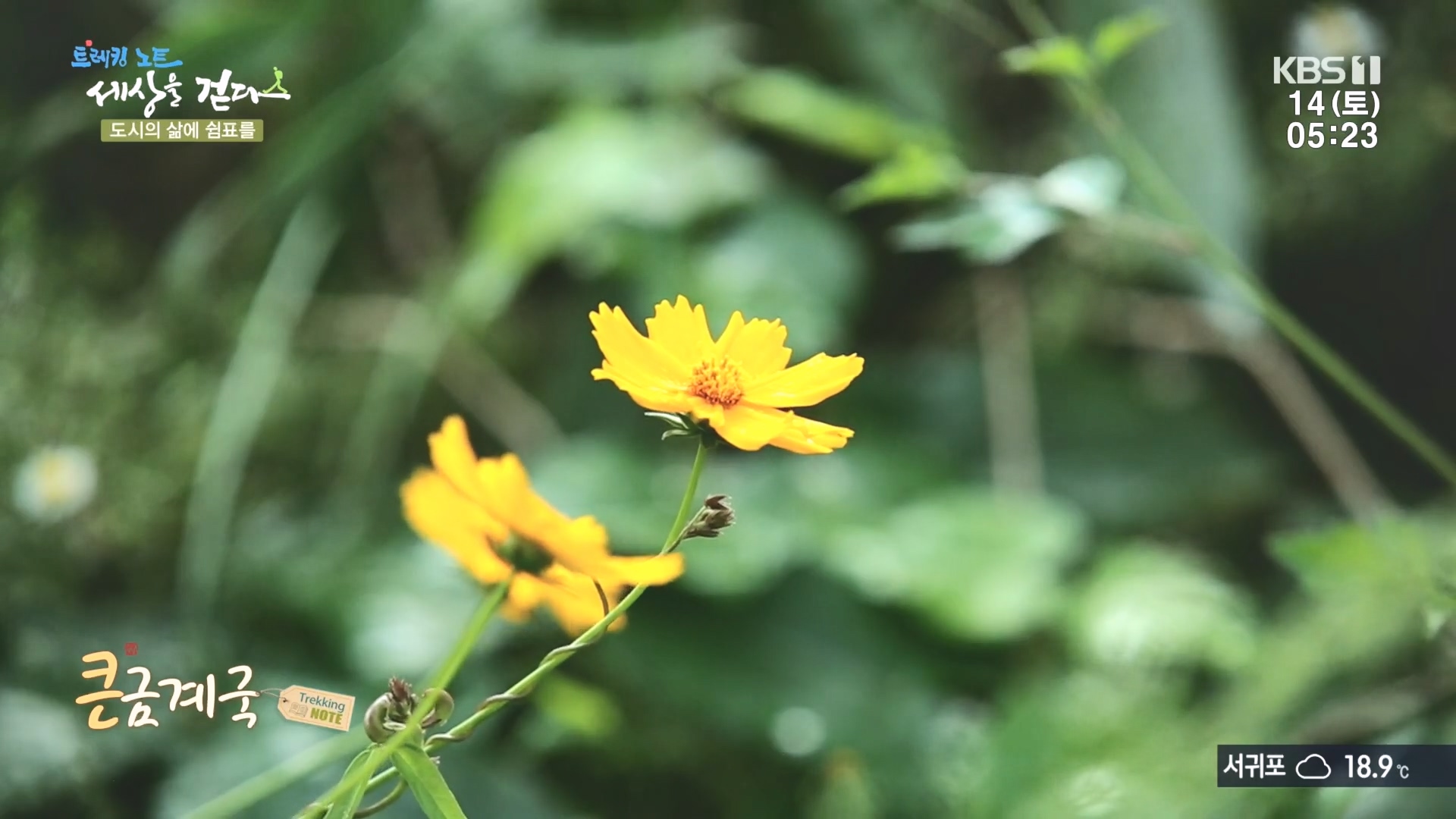 트레킹노트 세상을 걷다.E290.231014p.H264-F1RST.mp4_20231014_175816.787.jpg