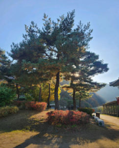 단양 가볼만한곳 베스트10