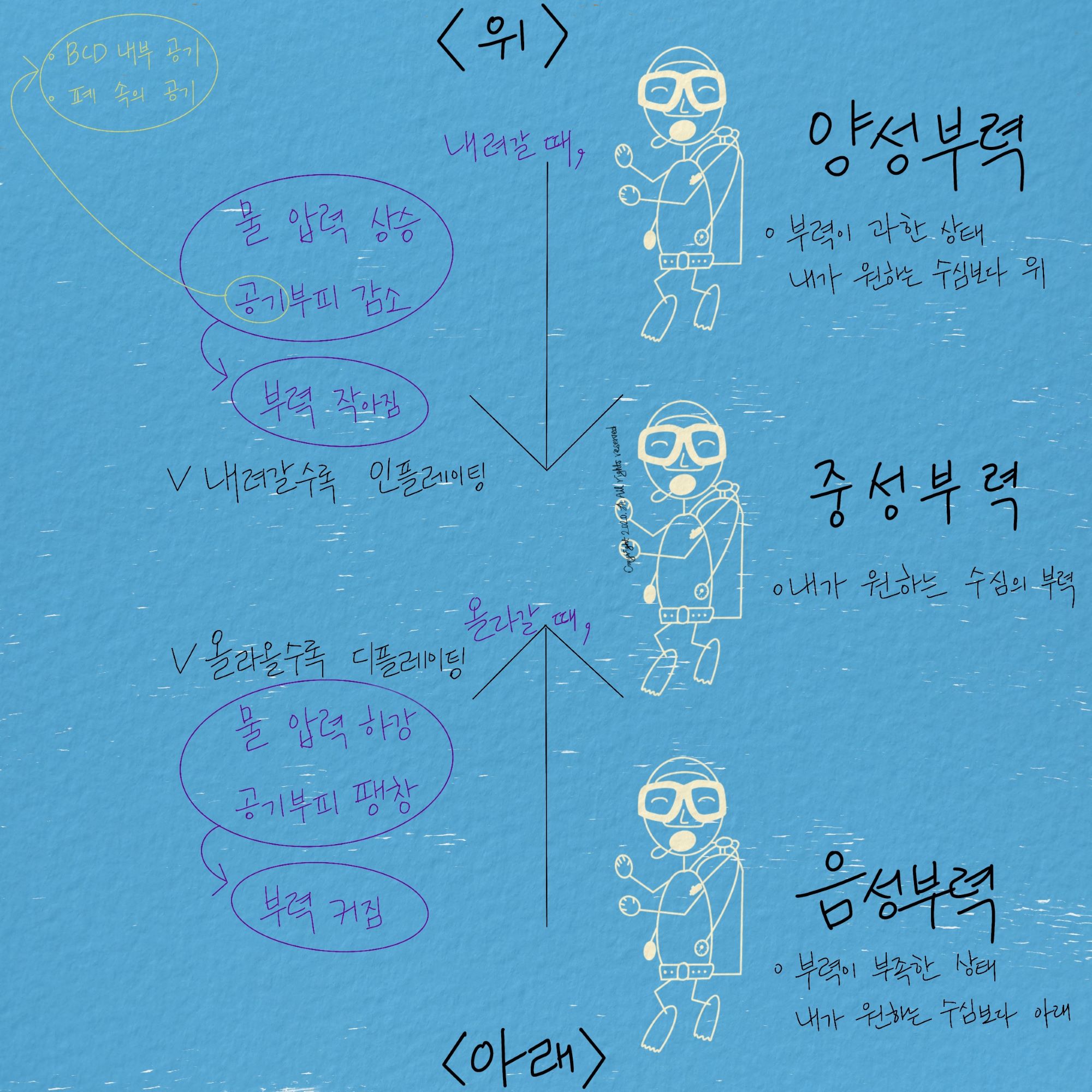  [스쿠버다이빙/스킨스쿠버]중성부력이란?양성/음성 부력! 부력조절 요령!