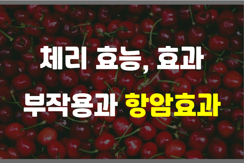  체리 효능, 효과 및 부작용 항암효과에 최고