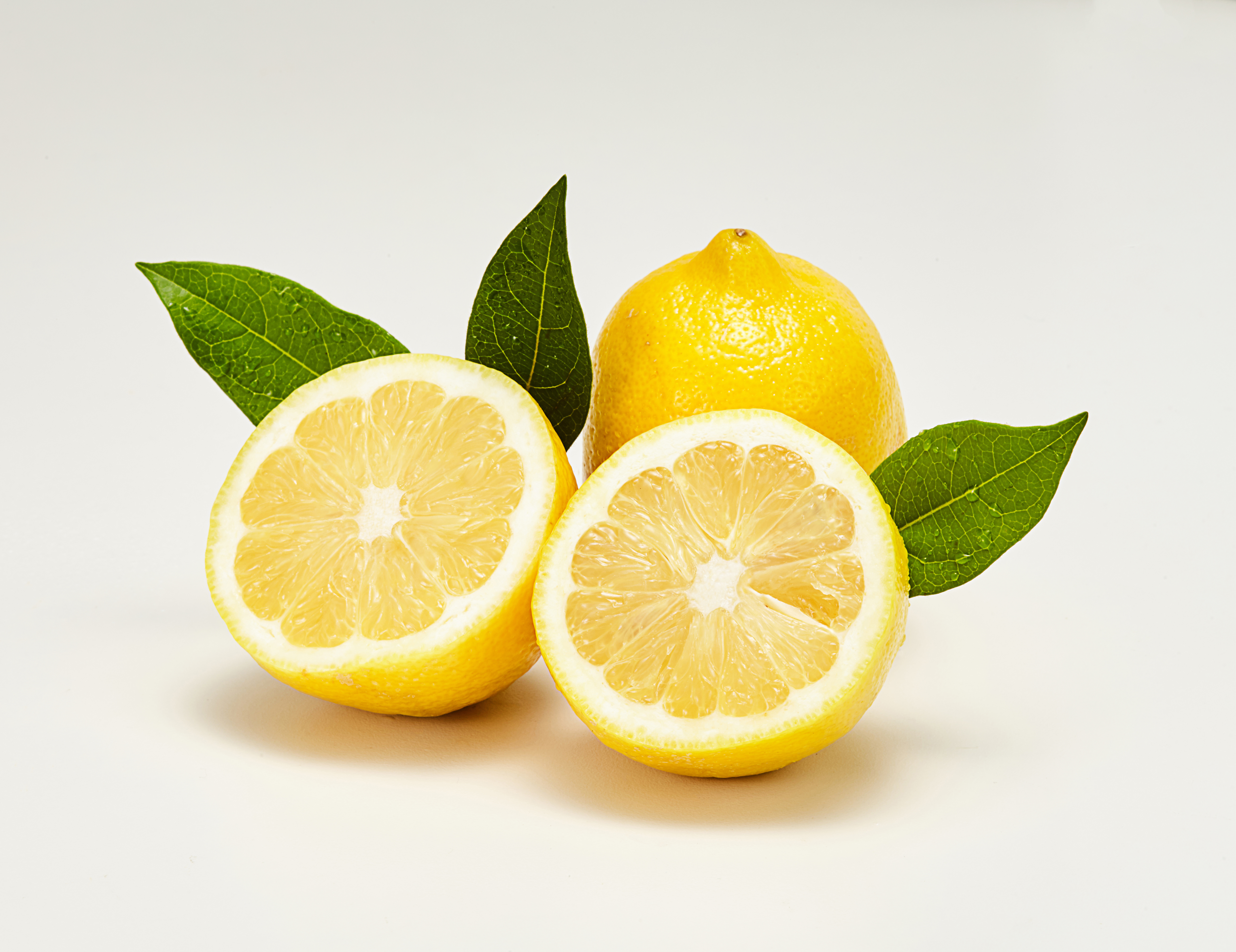 레몬 피로 회복 레몬 짜기 구연산