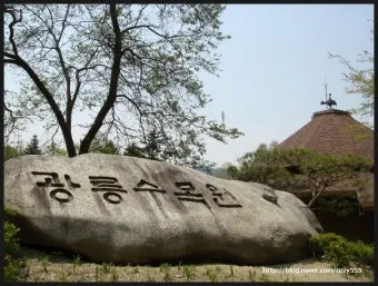 숨겨진 힐링 명소로 떠나는 포천 광릉수목원 완전 정복 가이드북 2025_20