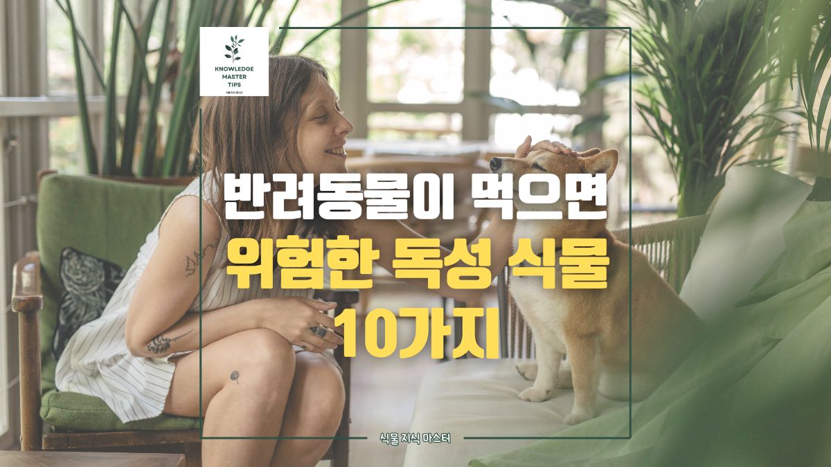 반려동물이 먹으면 위험한 독성 식물 10가지