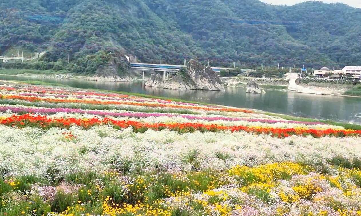 도담정원
