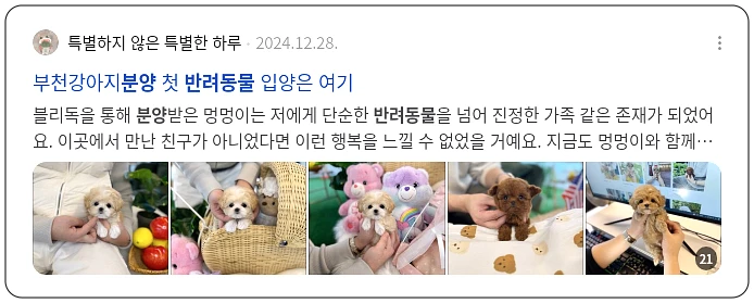 반려동물 분양_3_subsection