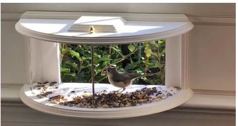 쉽게 설치할 수 있는 가정용 조류 먹이 공급 장치 VIDEO:This Bird Feeder You Can Easily Mount in Your Window Gives You a Front-Row Seat to Nature