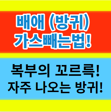  배에 가스빼는 법 복부의 방귀 문제를 효과적으로 제거하는 방법