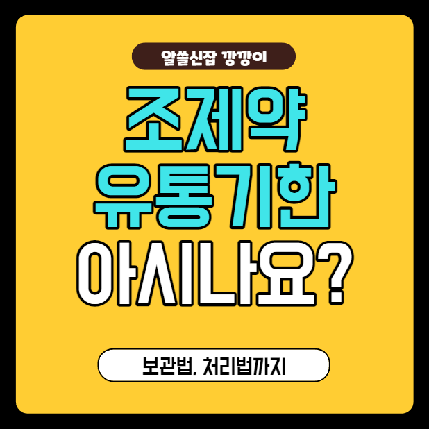  조제약 유통기한/보관법/처리방법 정리