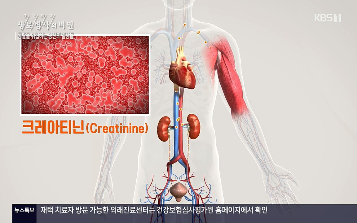 생로병사의 비밀.E819.220421p-NEXT.mp4_20220421_191144.418.jpg