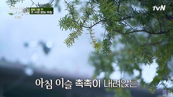  [힐링/장사] 210401 어쩌다 사장 6화 - 1