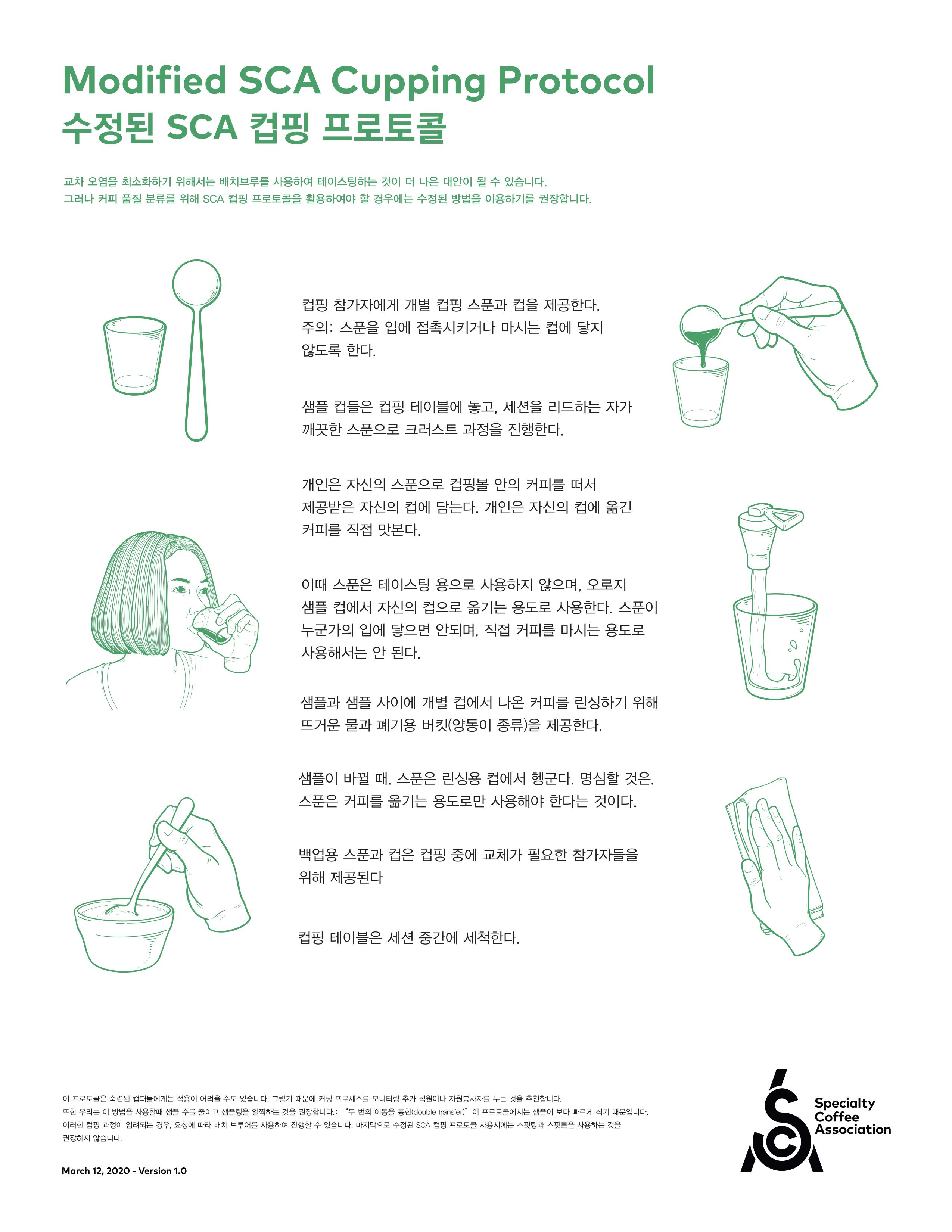  수정된 SCA 컵핑 프로토콜