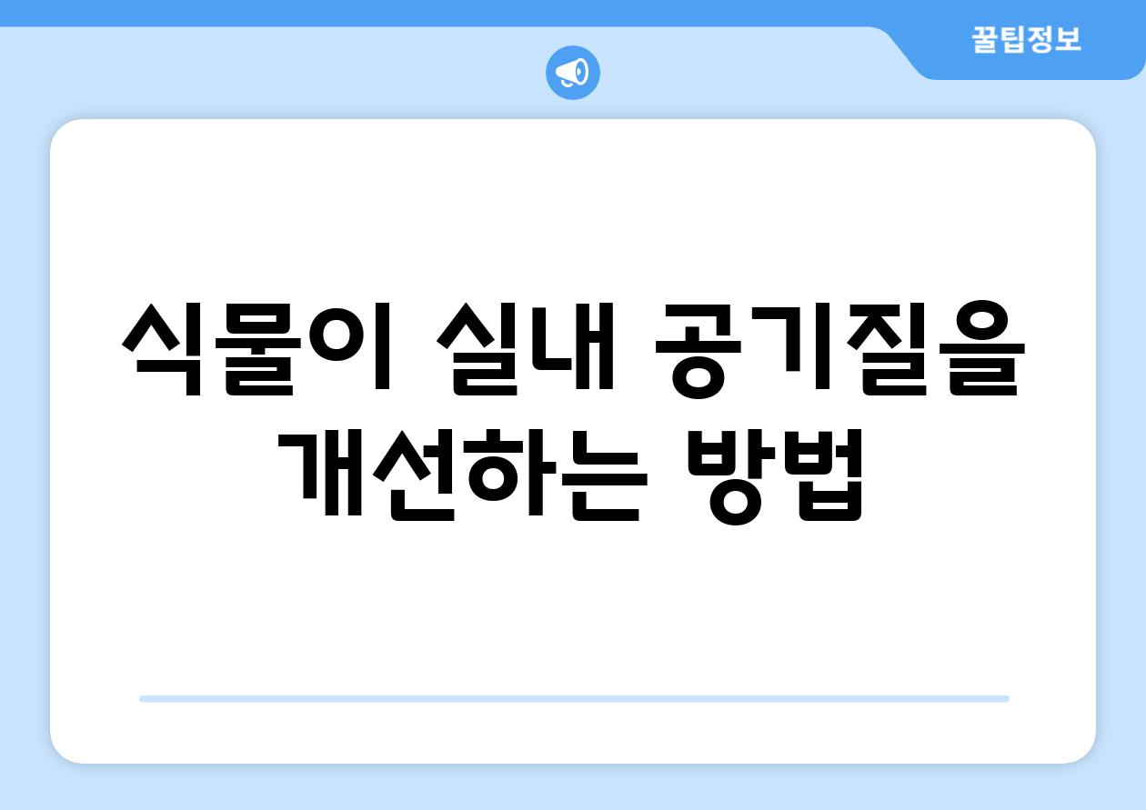 식물이 실내 공기질을 개선하는 방법