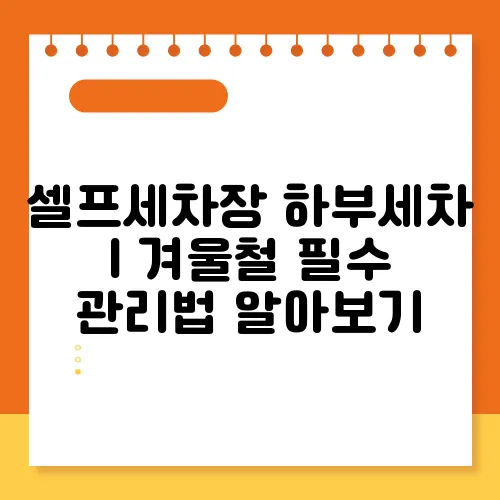 인지세차장 이미지