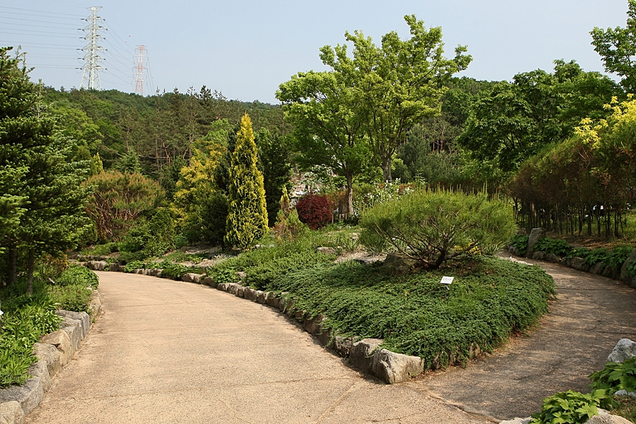 황학산수목원 이미지