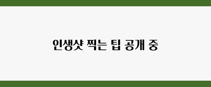 튤립축제에서 인생샷 찍는 법 5가지