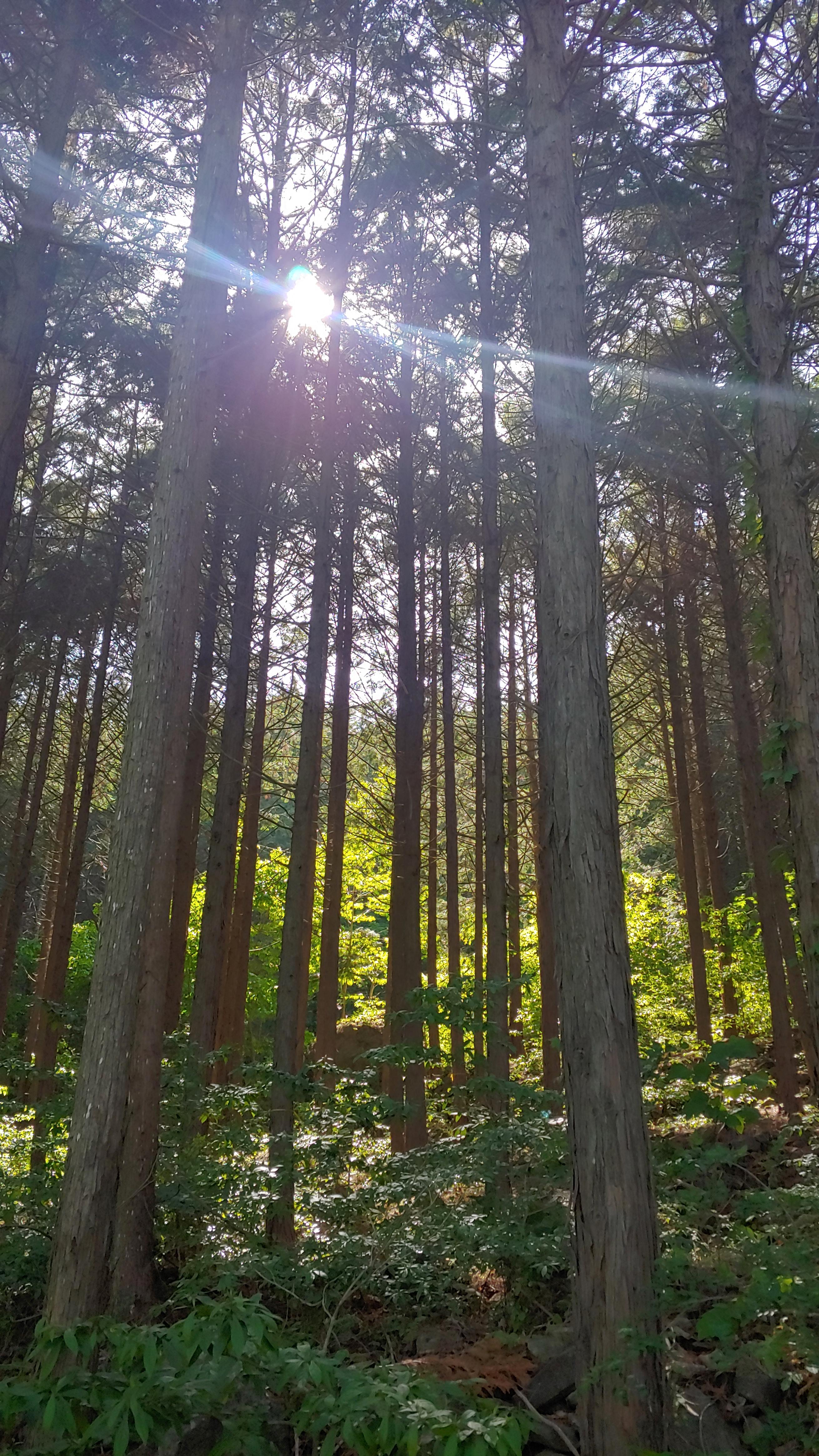 맑은환경 이미지