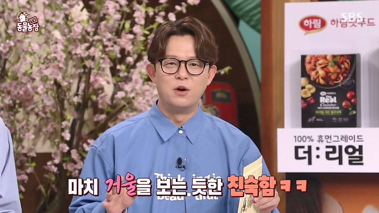 TV 동물농장.E1122.230529p-NEXT.mp4_20230528_170253.084.jpg