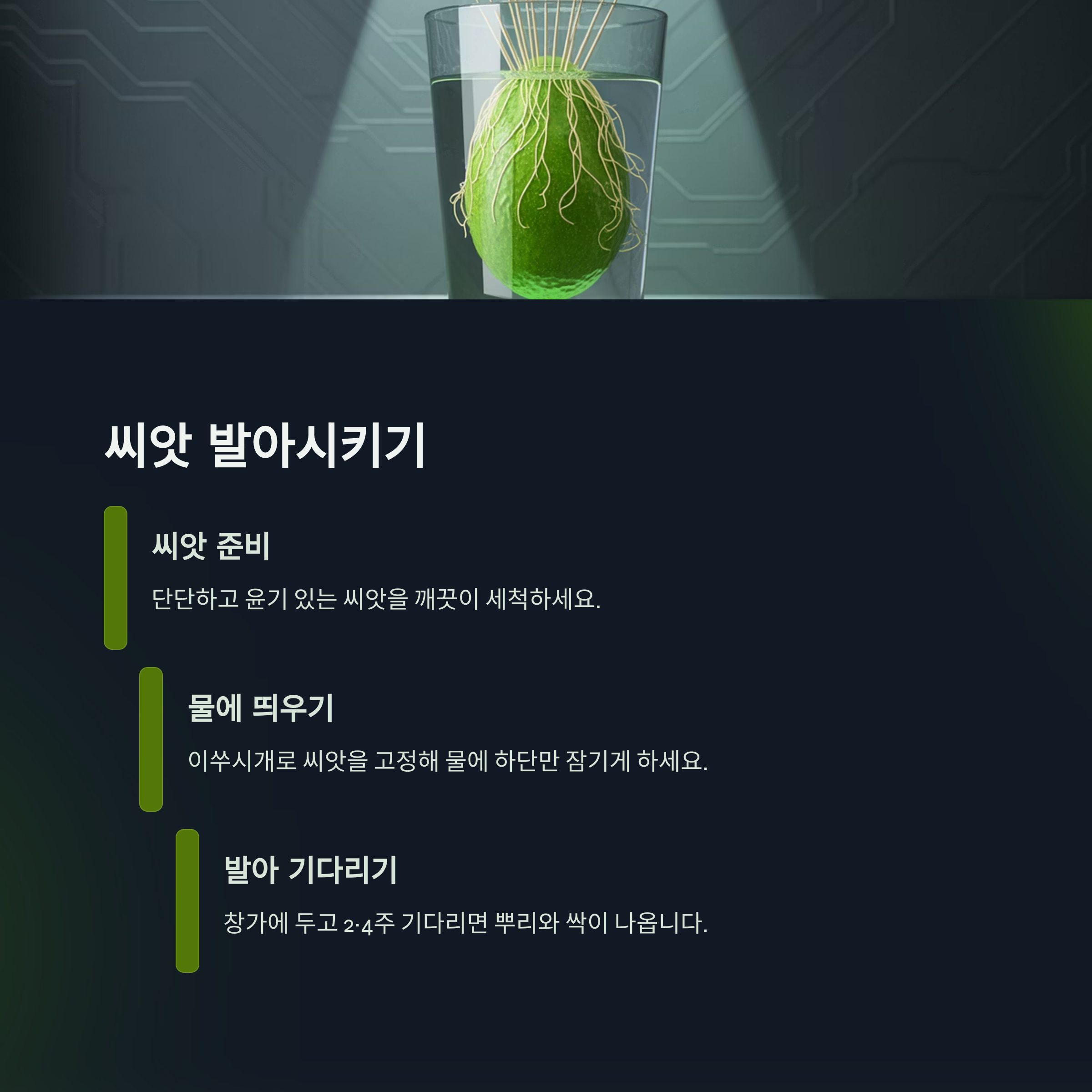 1단계: 아보카도 씨앗 준비와 발아시키기