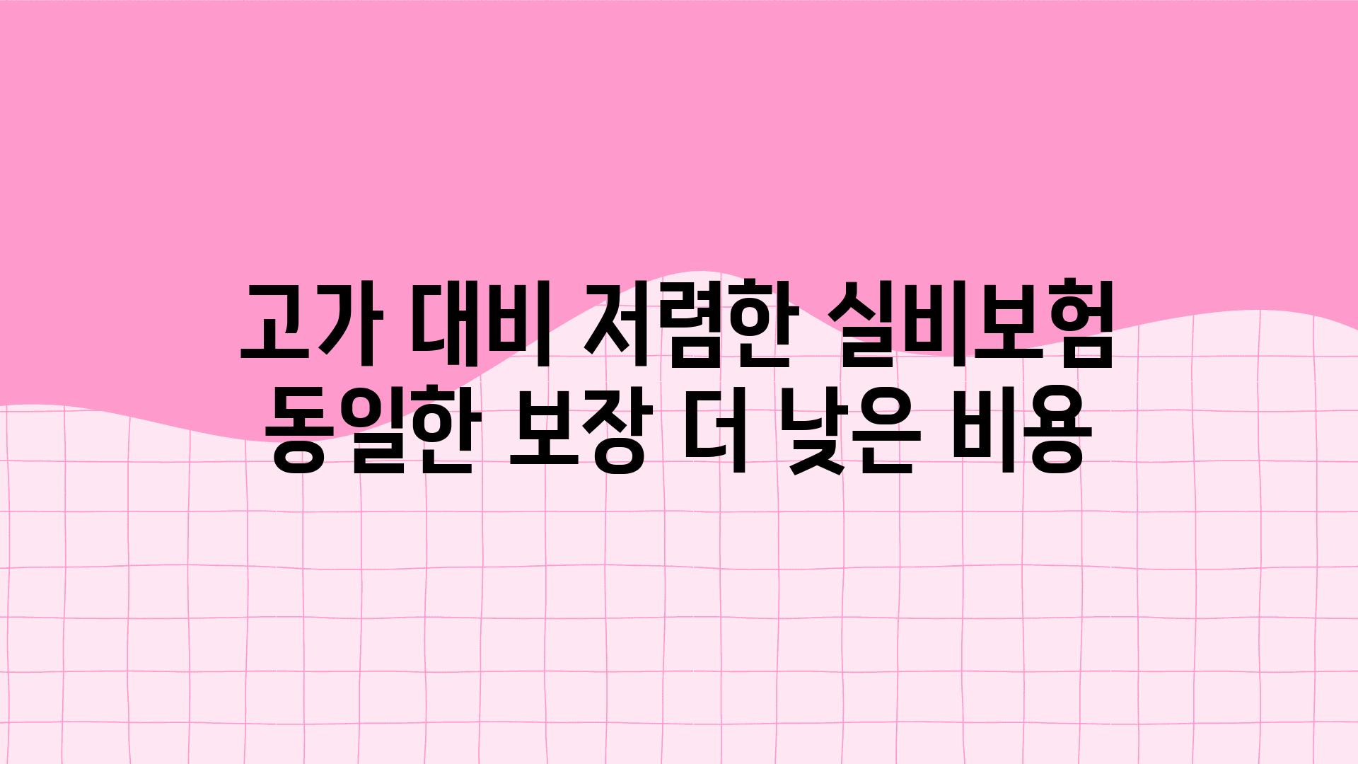 고가 대비 저렴한 실비보험 동일한 보장 더 낮은 비용