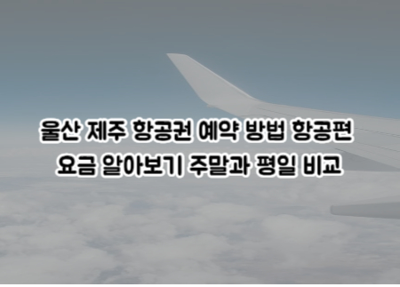  울산 제주 항공권 예약 방법 항공편 요금 알아보기 주말과 평일 비교