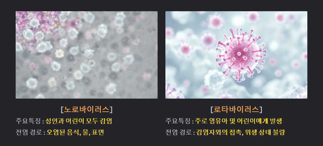 두가지 바이러스 이미지. 현미경으로 본 노로바이러스 입자의 이미지. 희미한 배경 위에 분홍빛과 흰색을 띠는 바이러스 입자가 흩어져 있는 모습으로, 전염성과 특징을 시각적으로 표현.현미경으로 본 로타바이러스 입자의 이미지. 분홍색을 띤 독특한 형태의 바이러스 입자가 뚜렷하게 보이며, 배경에는 흐릿한 입자가 퍼져 있는 모습